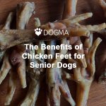The Benefits of Chicken Feet for Senior Dogs